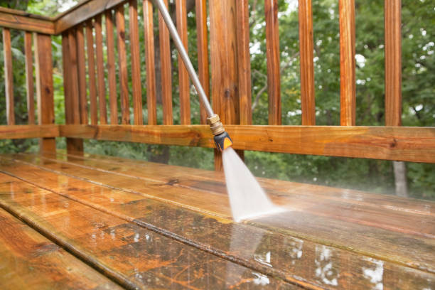 Best Affordable Power Washing  in Trezevant, TN